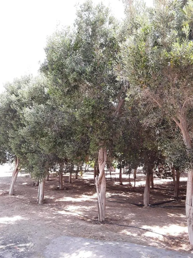 Elysium #Casa La Fuentita, Olivos&Naturaleza Gran Tarajal España